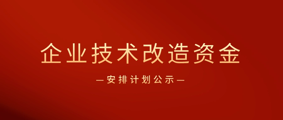 企業(yè)技術(shù)改造專項(xiàng)資金 企業(yè)技術(shù)改造專項(xiàng)資金